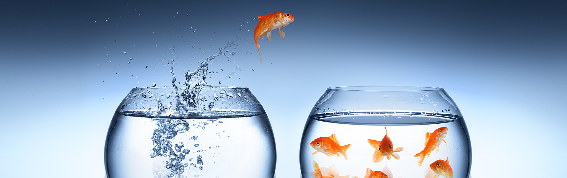 הצלחה היא הגשמה מתמשכת של רעיון ראוי  <br>( ארל נייטינגייל)